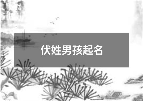 伏姓男孩起名