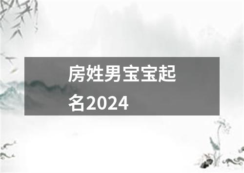 房姓男宝宝起名2024