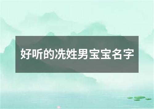 好听的冼姓男宝宝名字