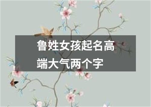 鲁姓女孩起名高端大气两个字