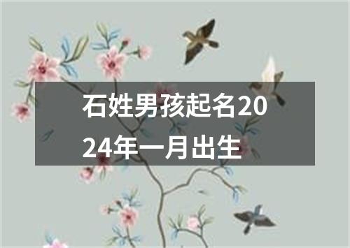 石姓男孩起名2024年一月出生