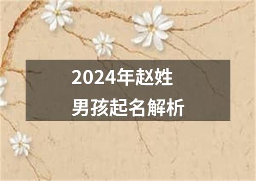 2024年赵姓男孩起名解析