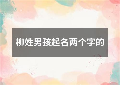 柳姓男孩起名两个字的