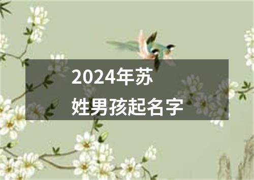 2024年苏姓男孩起名字