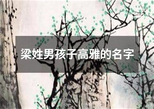 梁姓男孩子高雅的名字