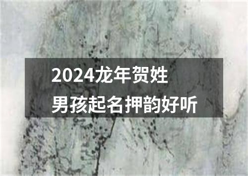 2024龙年贺姓男孩起名押韵好听