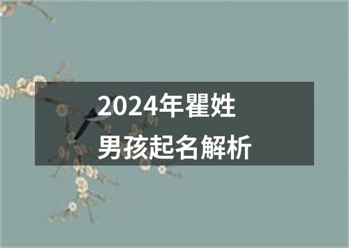 2024年瞿姓男孩起名解析