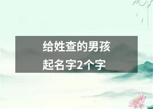 给姓查的男孩起名字2个字