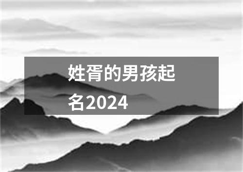 姓胥的男孩起名2024