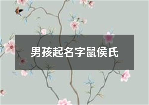 男孩起名字鼠侯氏