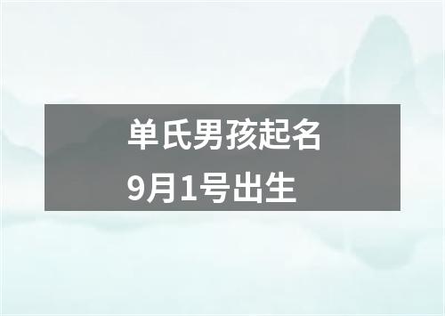 单氏男孩起名9月1号出生