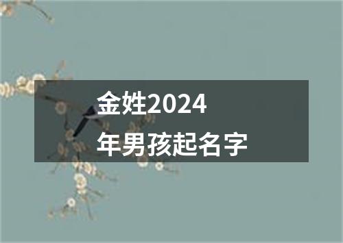 金姓2024年男孩起名字