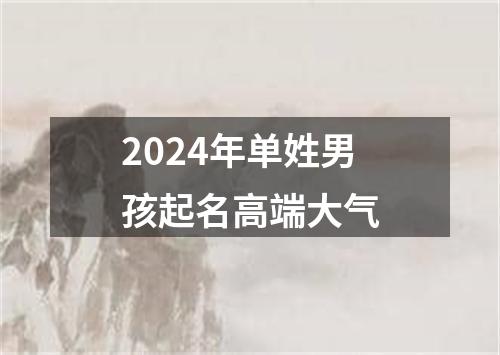 2024年单姓男孩起名高端大气