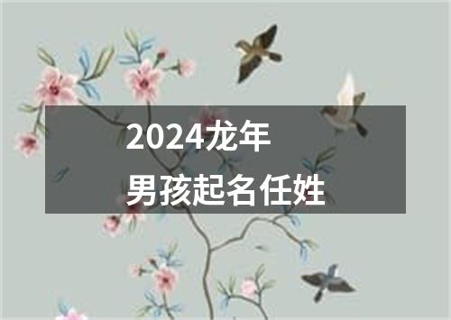 2024龙年男孩起名任姓