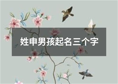 姓申男孩起名三个字