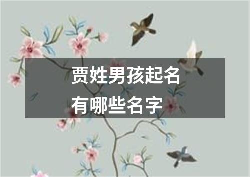 贾姓男孩起名有哪些名字