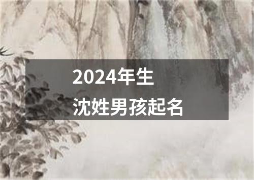 2024年生沈姓男孩起名