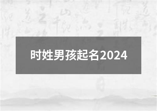 时姓男孩起名2024