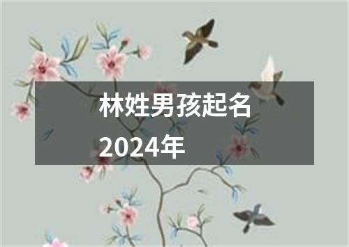 林姓男孩起名2024年