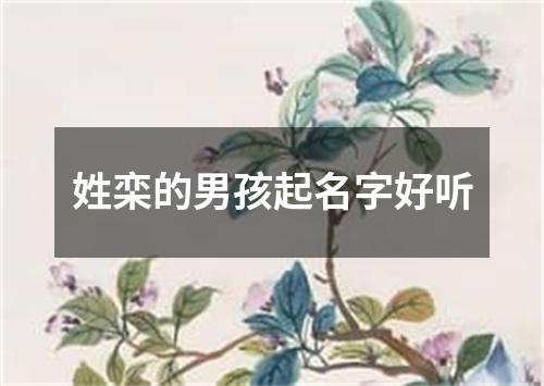 姓栾的男孩起名字好听