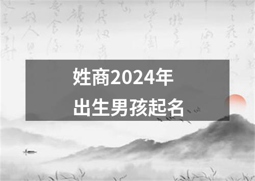 姓商2024年出生男孩起名