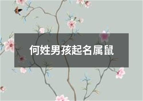 何姓男孩起名属鼠