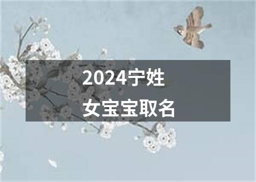 2024宁姓女宝宝取名