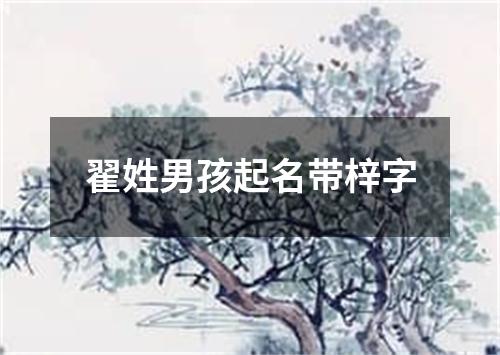 翟姓男孩起名带梓字