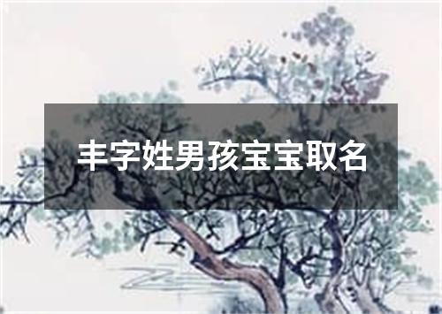 丰字姓男孩宝宝取名