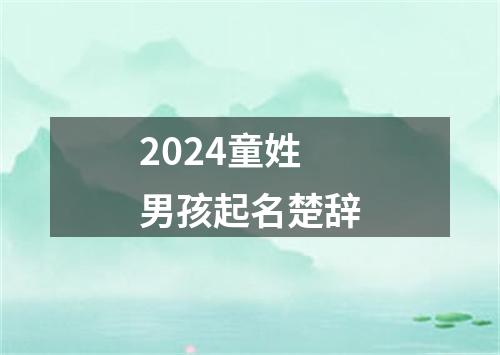 2024童姓男孩起名楚辞