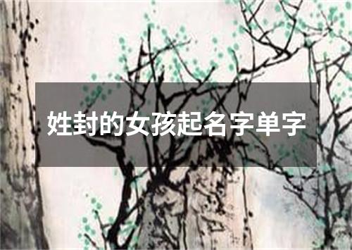 姓封的女孩起名字单字