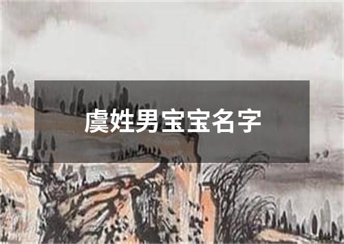 虞姓男宝宝名字