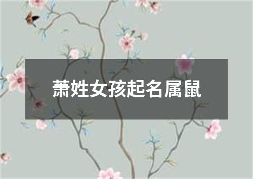 萧姓女孩起名属鼠