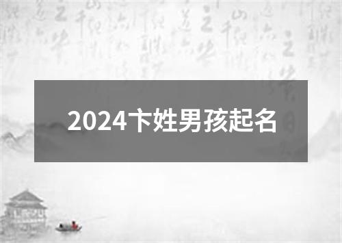 2024卞姓男孩起名