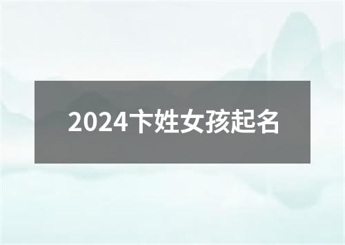 2024卞姓女孩起名