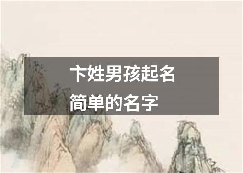 卞姓男孩起名简单的名字