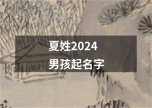 夏姓2024男孩起名字