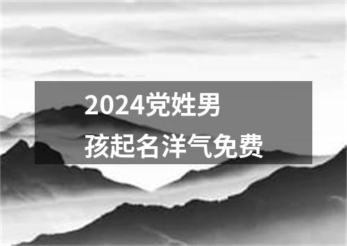 2024党姓男孩起名洋气免费