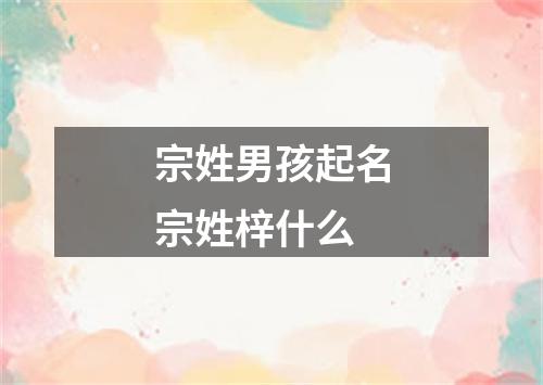 宗姓男孩起名宗姓梓什么