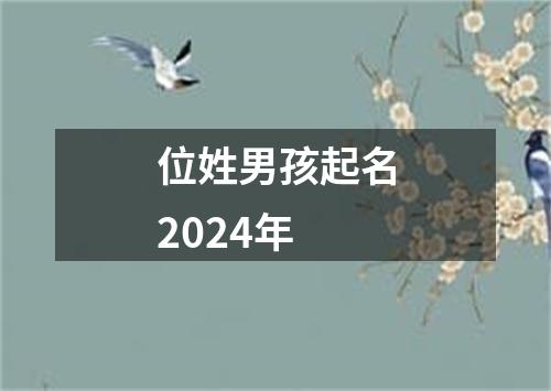 位姓男孩起名2024年