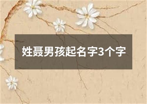 姓聂男孩起名字3个字