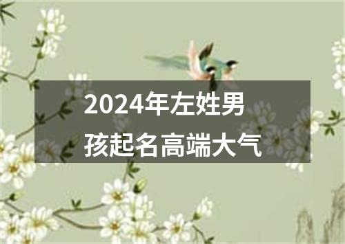 2024年左姓男孩起名高端大气