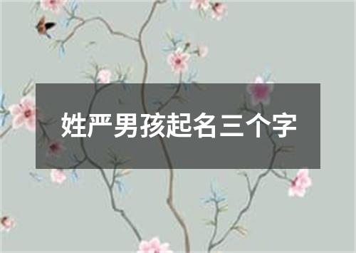 姓严男孩起名三个字