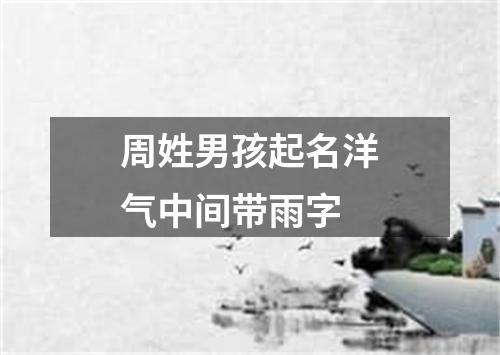 周姓男孩起名洋气中间带雨字