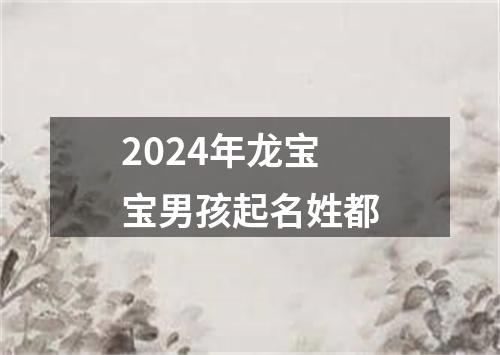 2024年龙宝宝男孩起名姓都