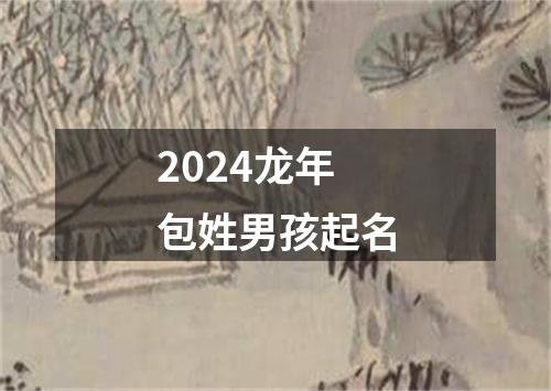 2024龙年包姓男孩起名