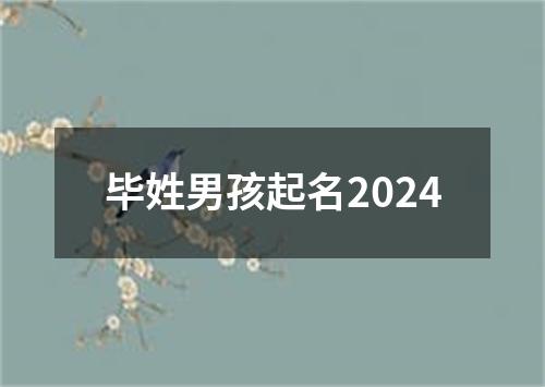 毕姓男孩起名2024