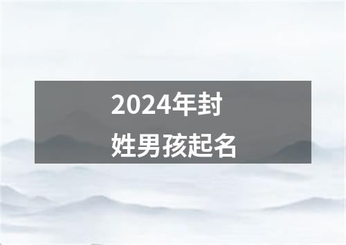 2024年封姓男孩起名