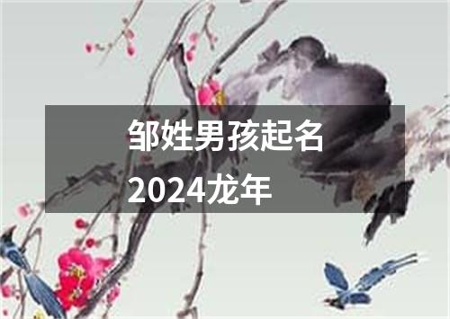 邹姓男孩起名2024龙年