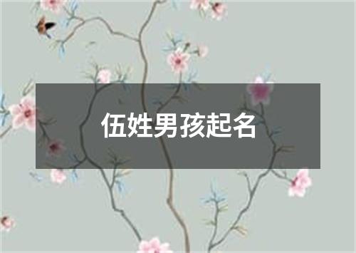 伍姓男孩起名